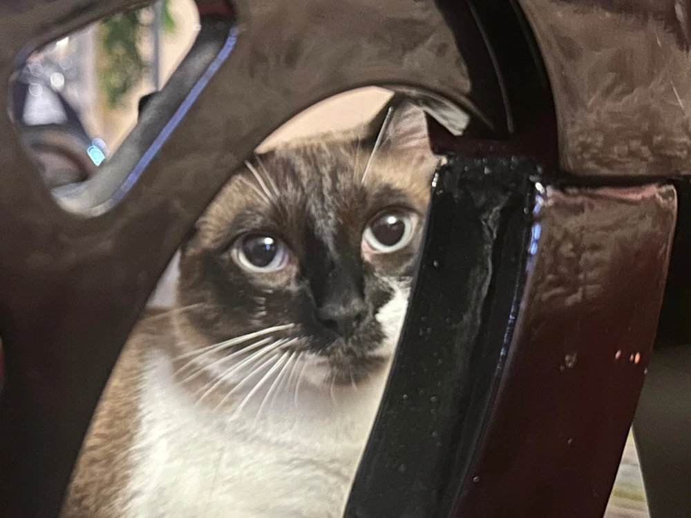 GIF uploaded by Misha