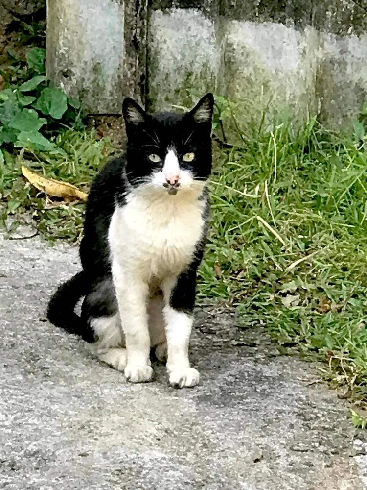 GIF uploaded by S