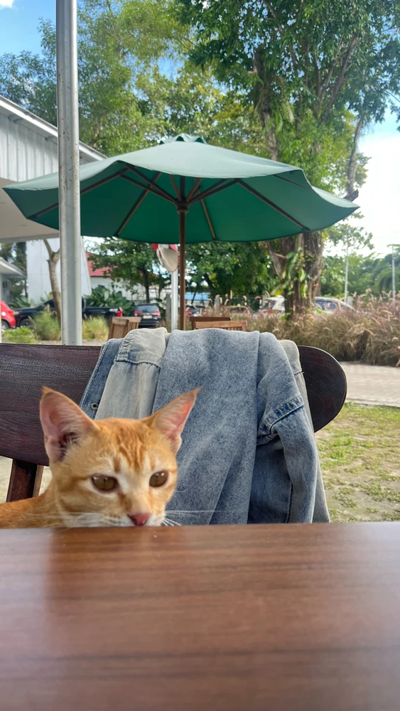 Image uploaded by Ayu