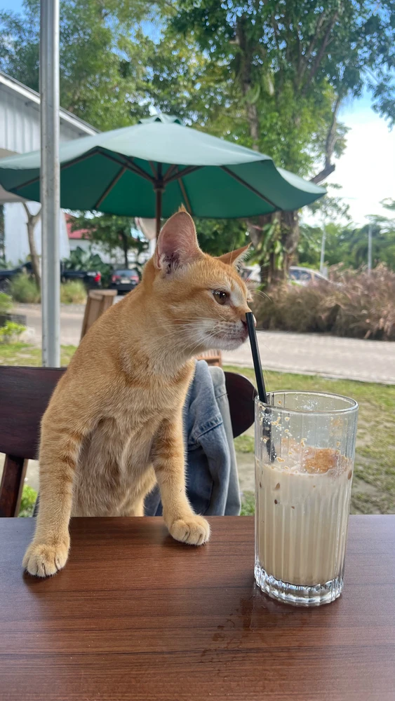 Image uploaded by Ayu