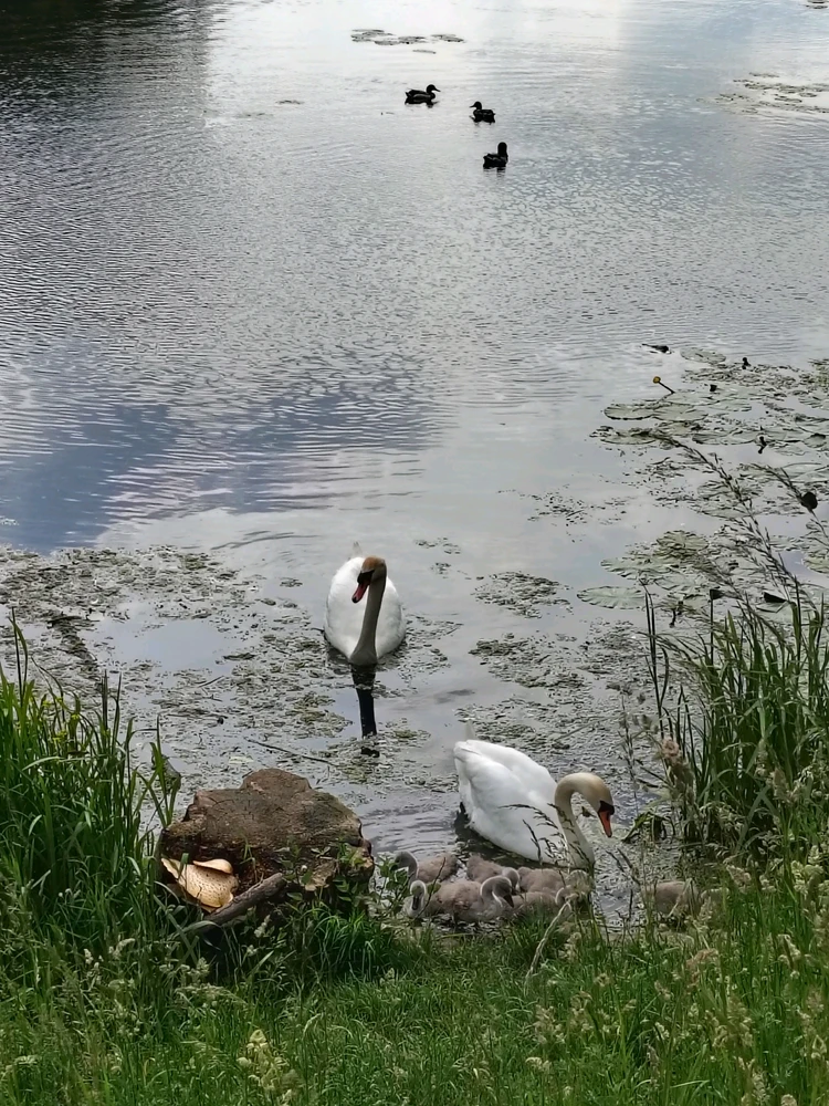 GIF uploaded by Vik