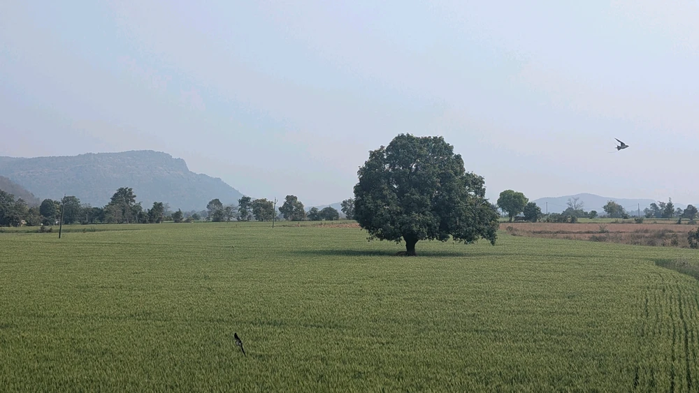 GIF uploaded by P