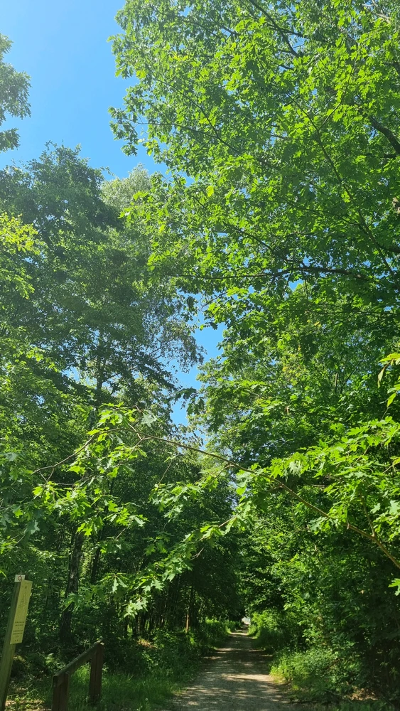 GIF uploaded by Polly