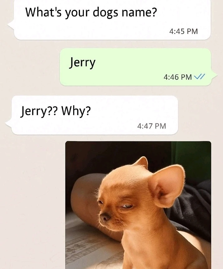 GIF uploaded by Georgina
