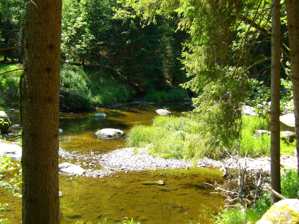 Image uploaded by Frey