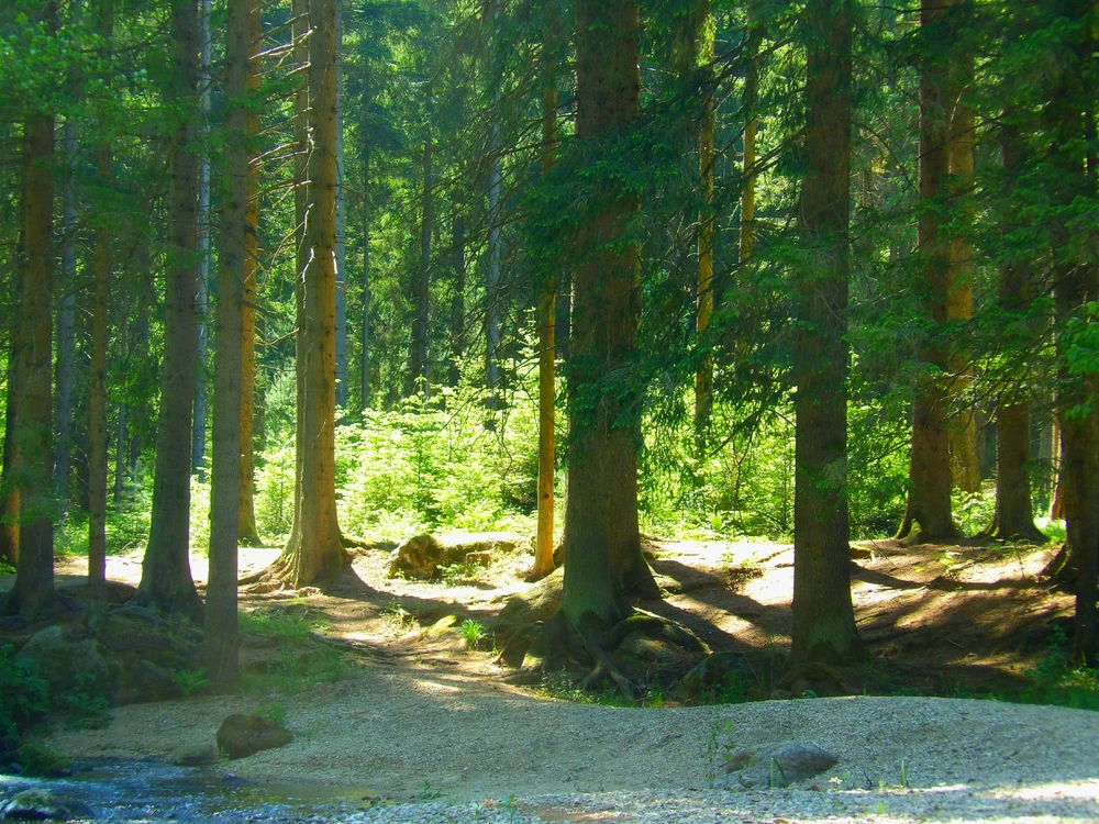 Image uploaded by Frey