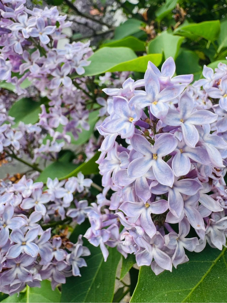 GIF uploaded by Ricarda