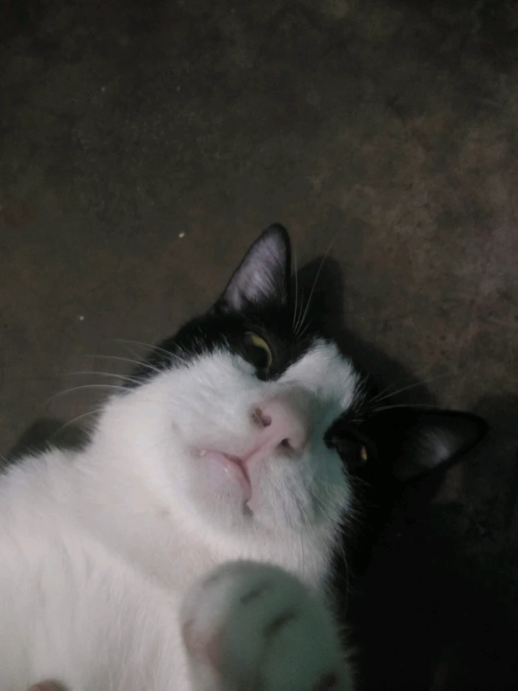 GIF uploaded by Z