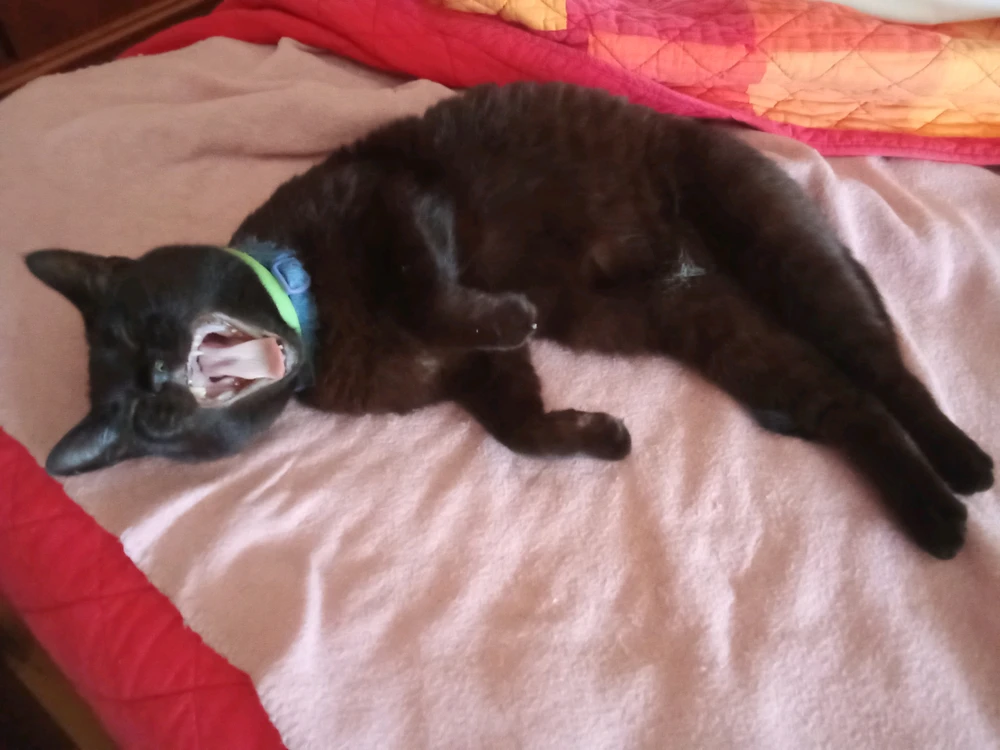 GIF uploaded by Mattia