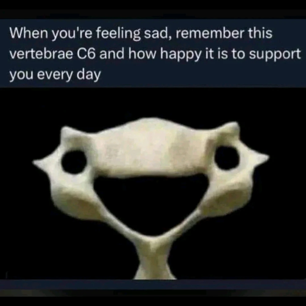 GIF uploaded by Bradley