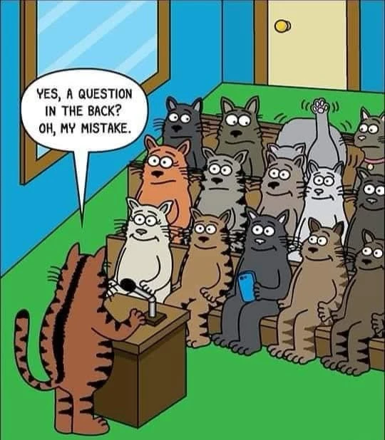GIF uploaded by Tina