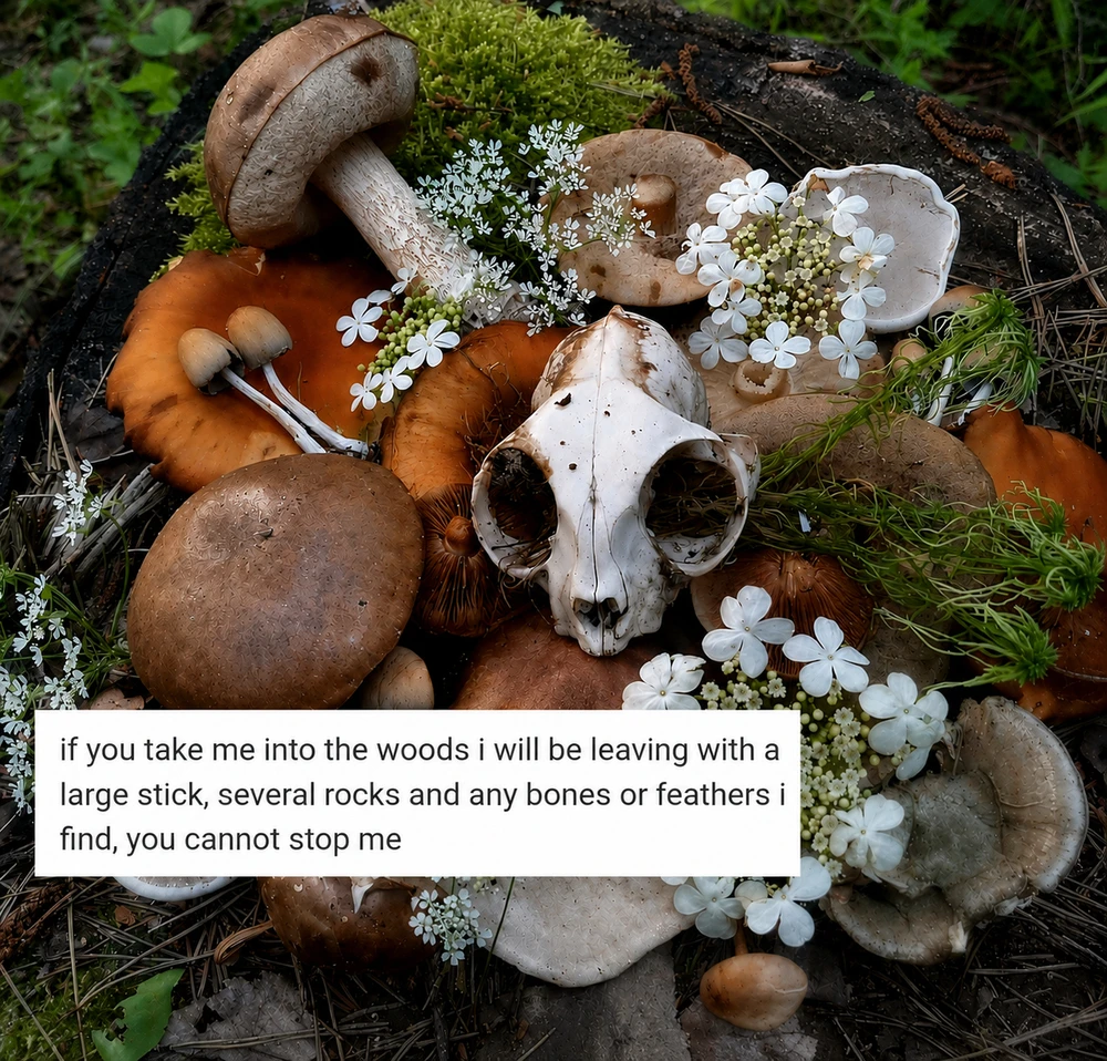 GIF uploaded by ℳ𝒾𝒹𝓃𝒾𝑔𝒽𝓉