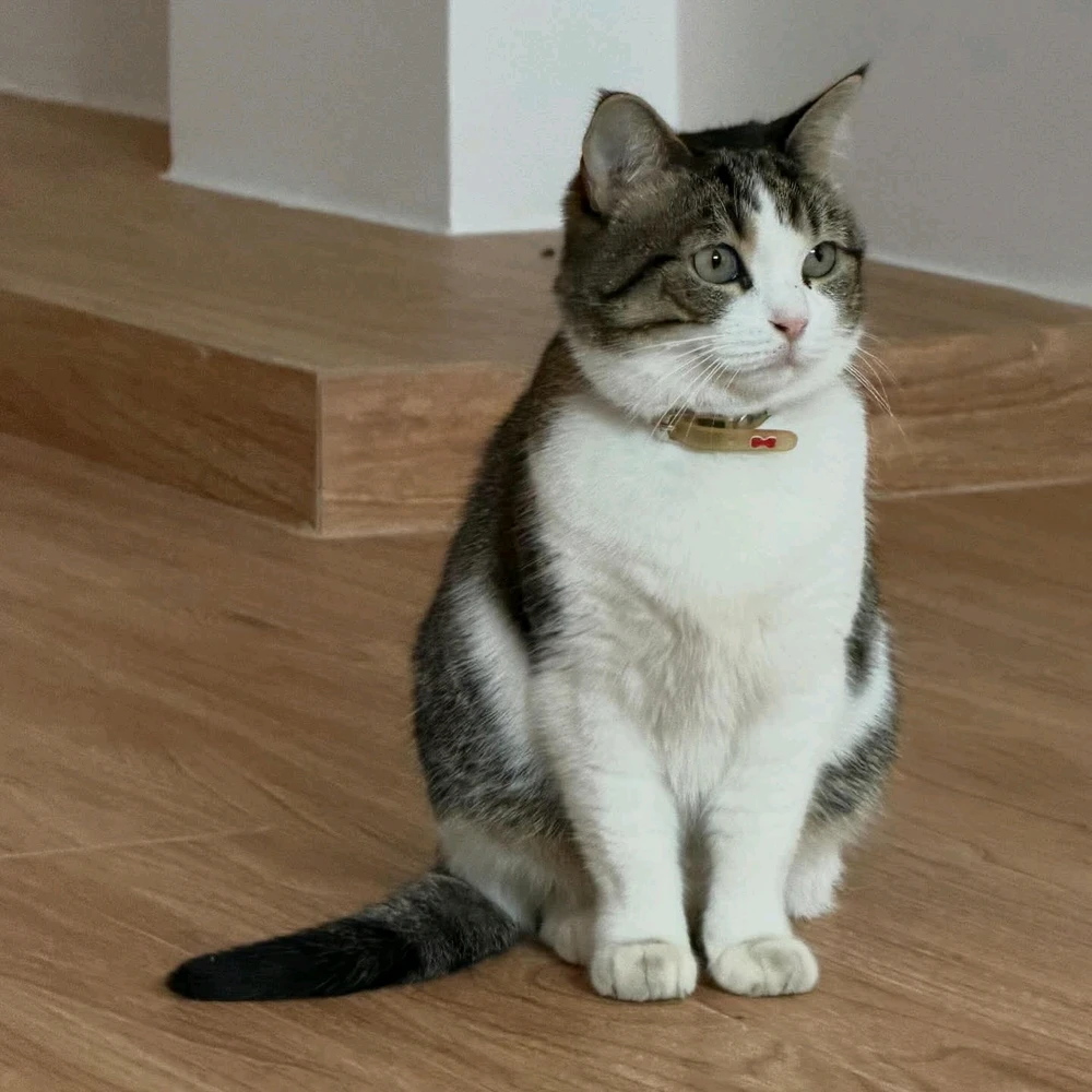 GIF uploaded by Moomoone