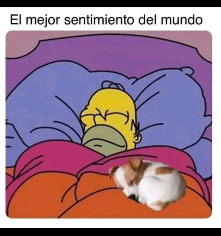 GIF subido por Adriana Andrade