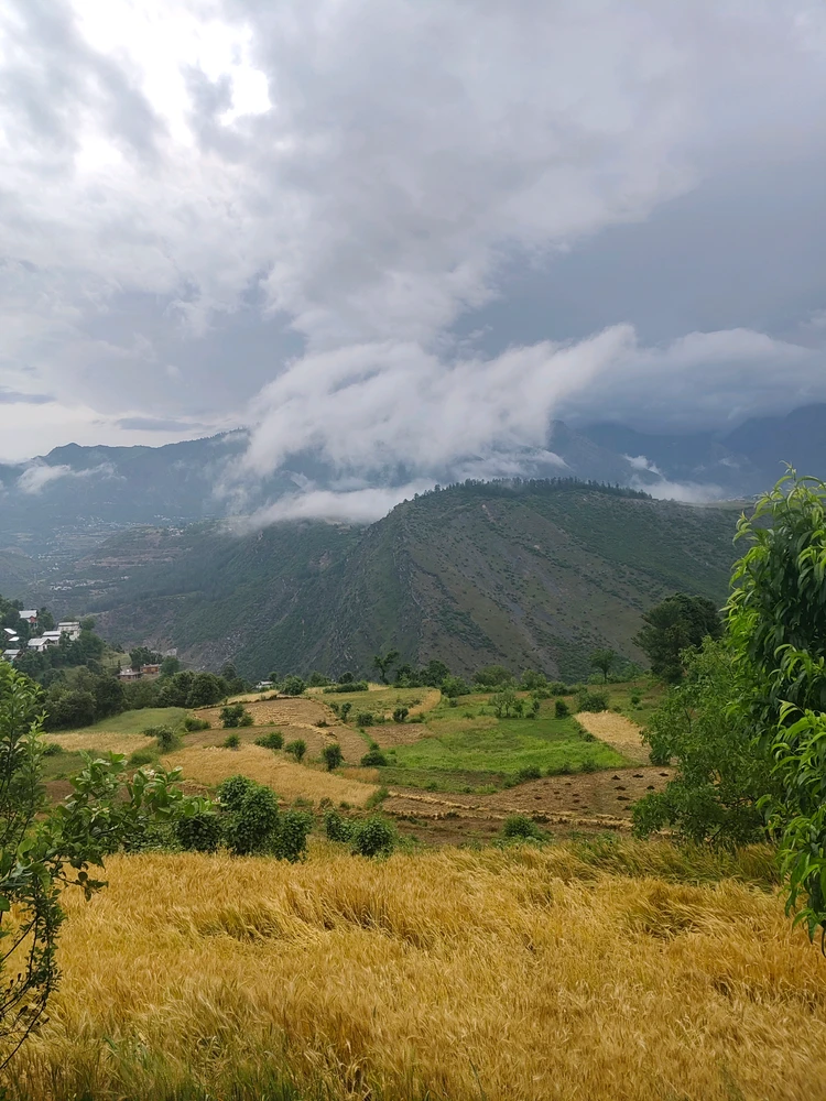 GIF uploaded by Suraj