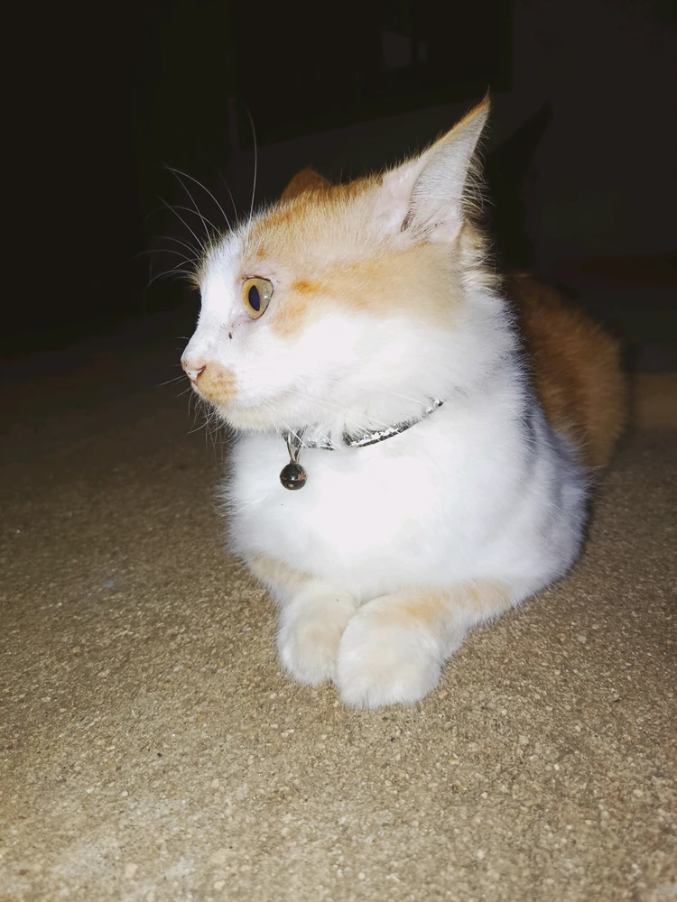 Image uploaded by A Cash