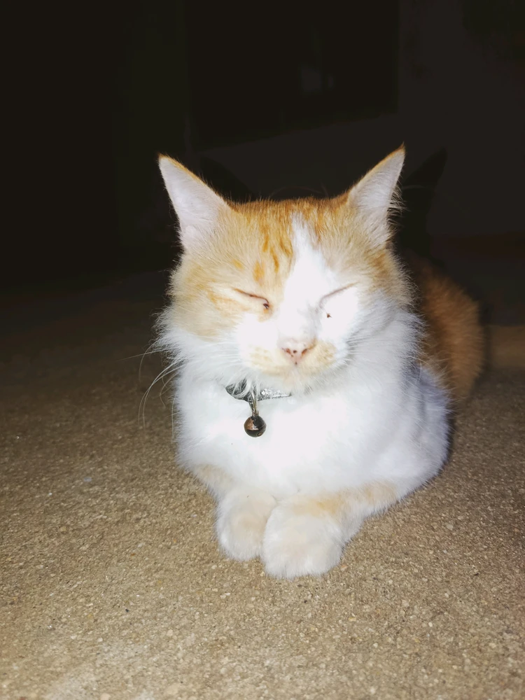 Image uploaded by A Cash
