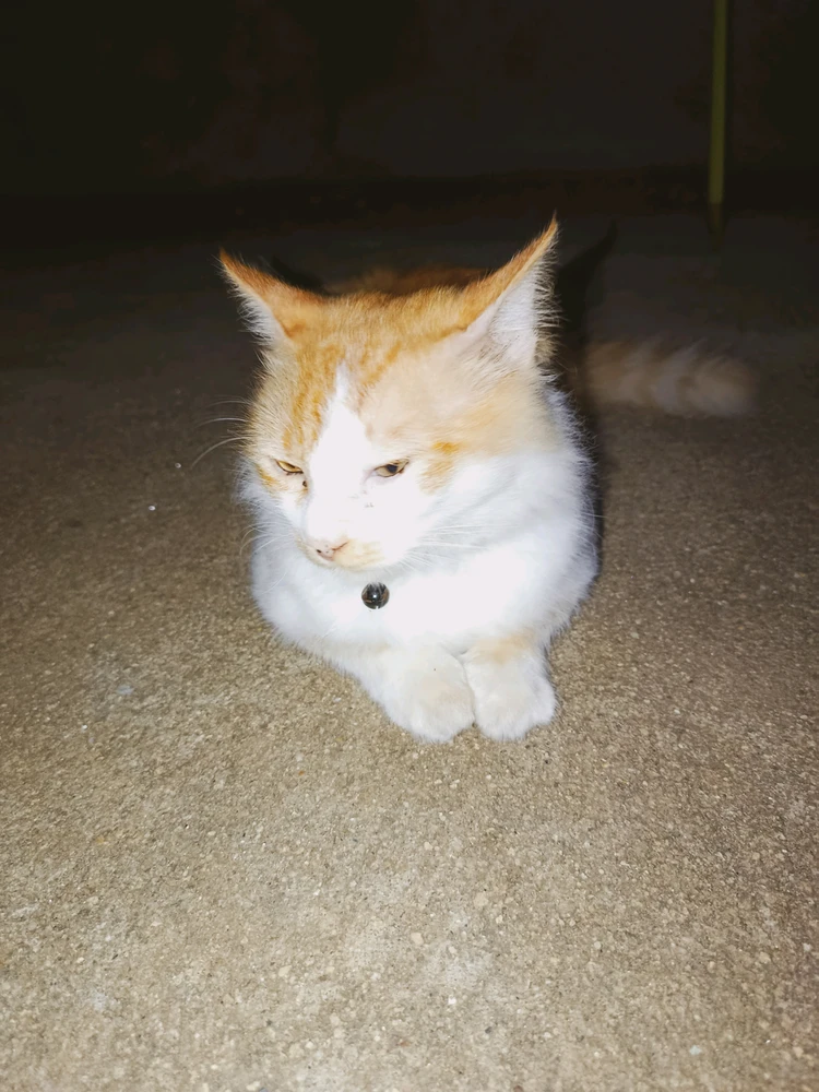 Image uploaded by A Cash