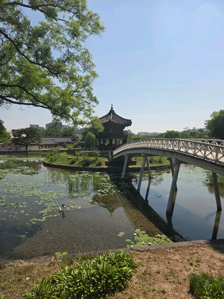 Stephen님이 올린 사진
