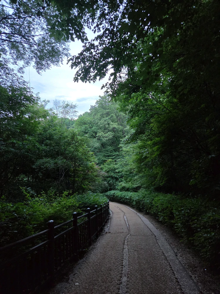 Stephen님이 올린 사진