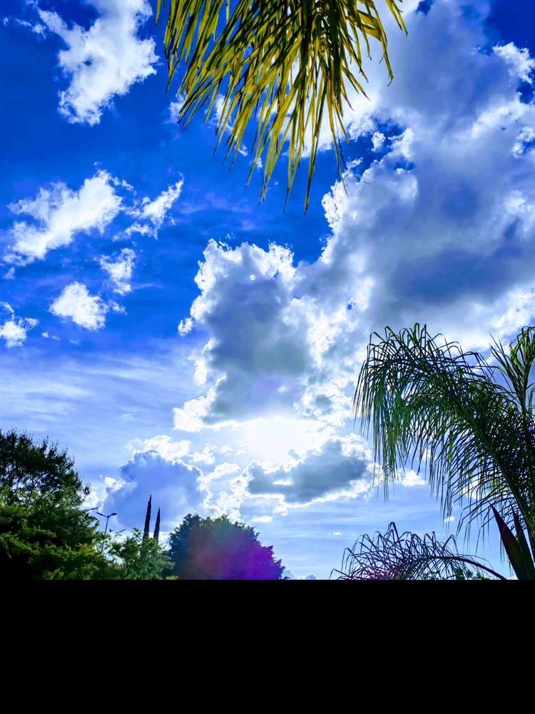 Image uploaded by Emigdio