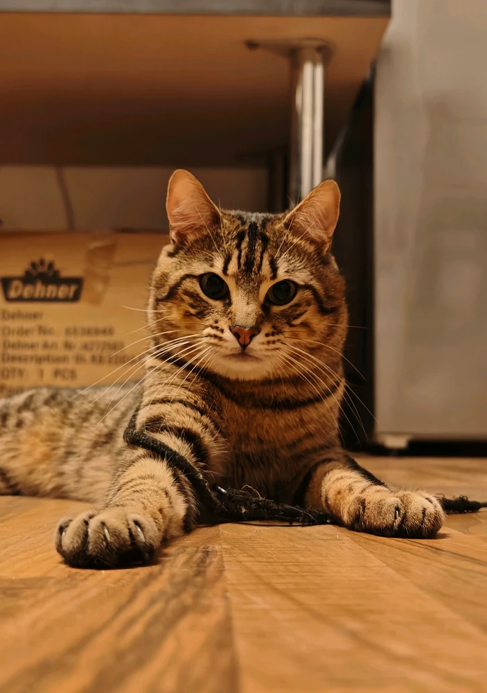 Image uploaded by Boriss