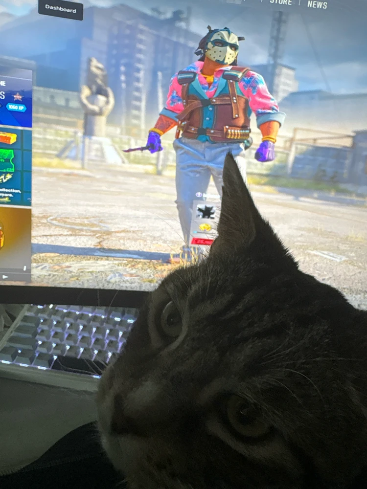GIF uploaded by Tyler