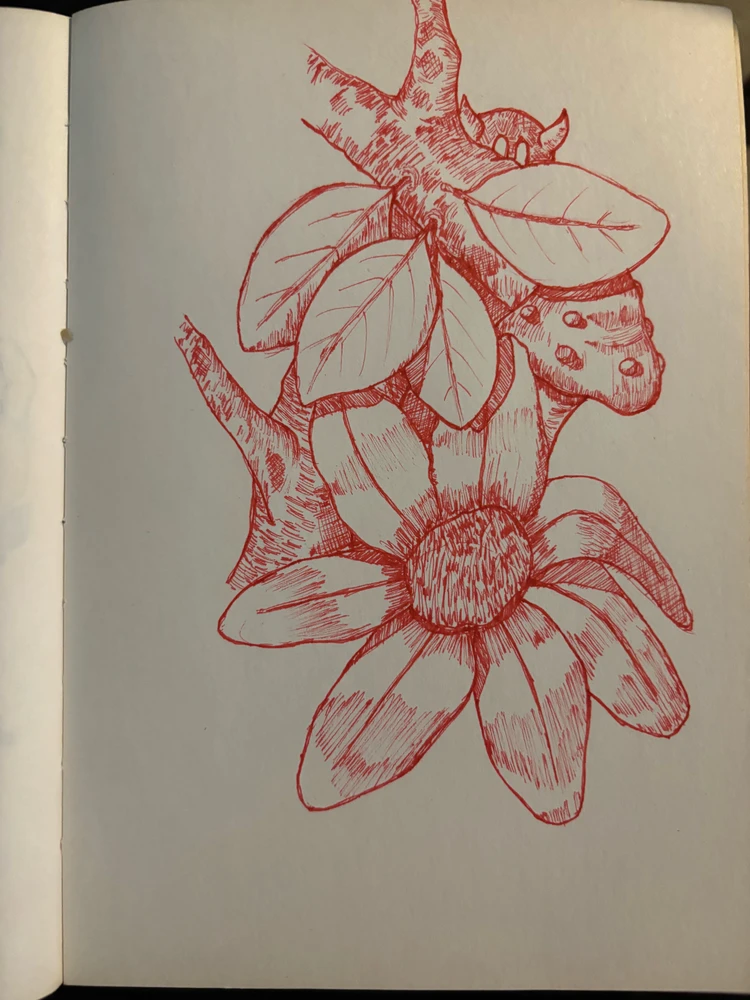 Image uploaded by Anthony