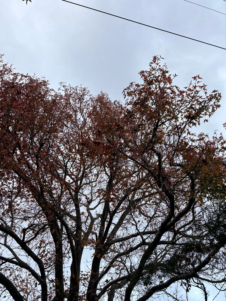 GIF uploaded by Jay