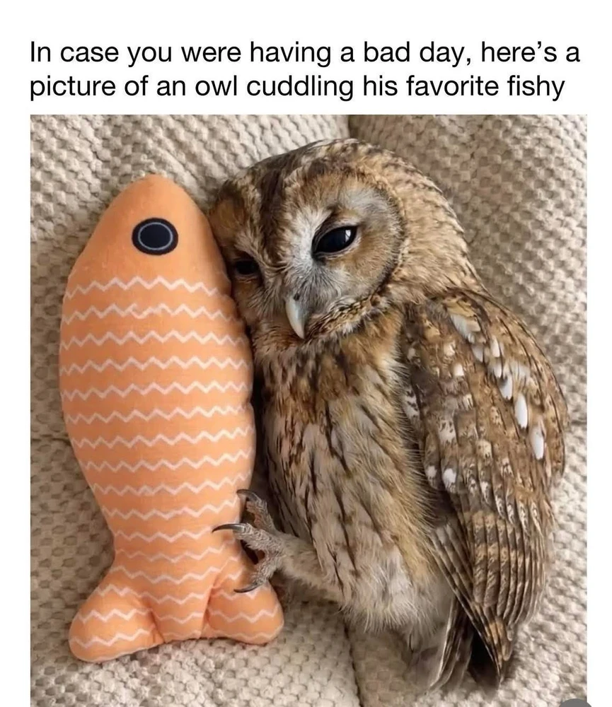 GIF uploaded by ℳ𝒾𝒹𝓃𝒾𝑔𝒽𝓉