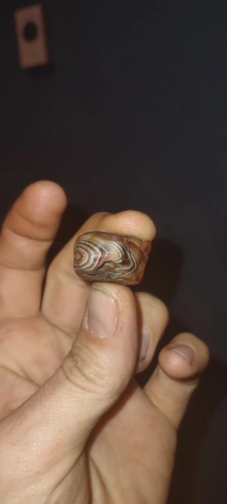 GIF uploaded by Roswell
