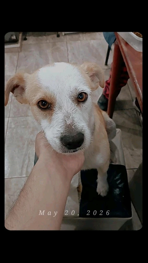 GIF uploaded by FELIPE