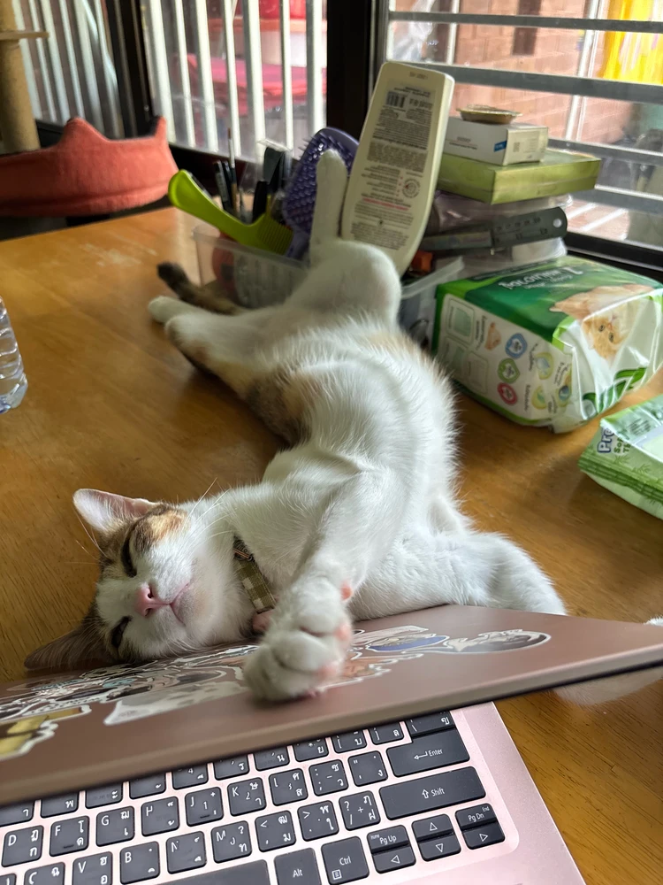 GIF uploaded by Pat♡