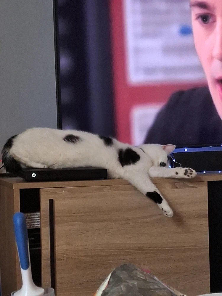 GIF ajouté par Lucie