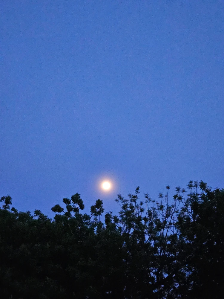 GIF uploaded by Cha