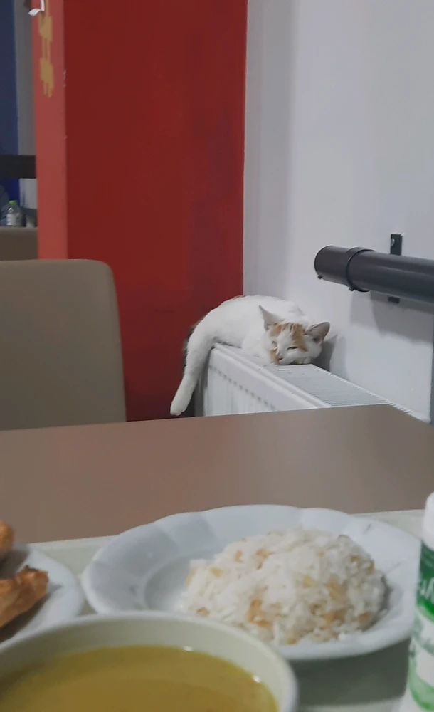 ΕЯLİK tarafından yüklenen GIF