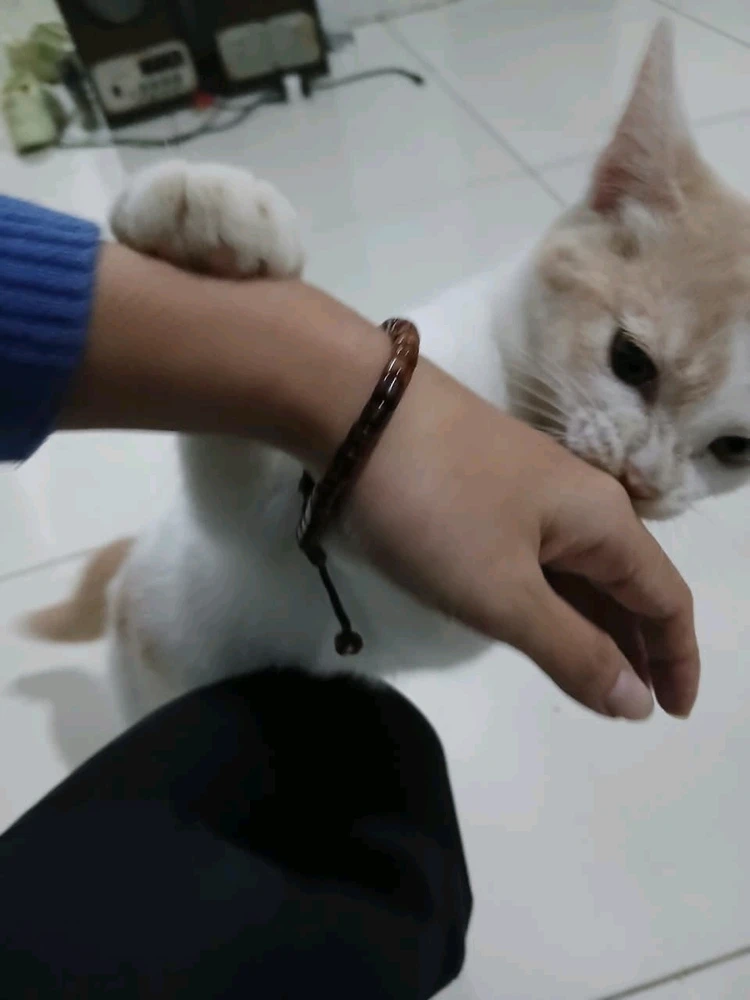 GIF uploaded by L