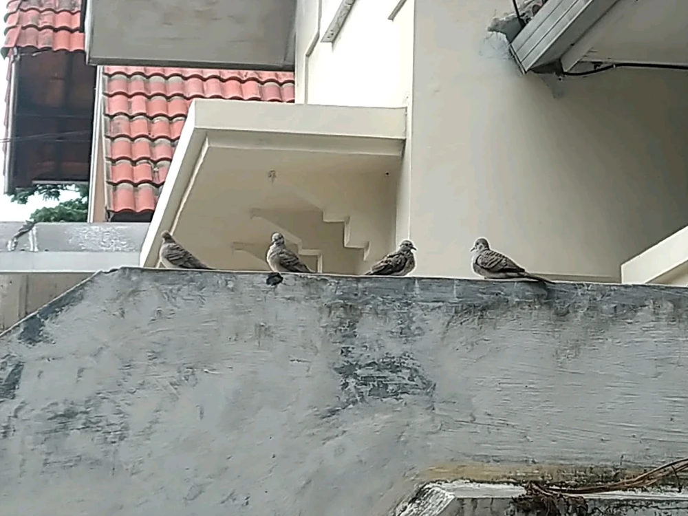 GIF uploaded by Melt