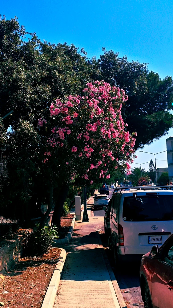 GIF uploaded by Amal