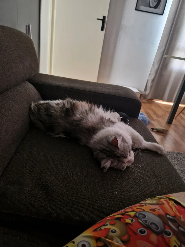 GIF ajouté par Lulu