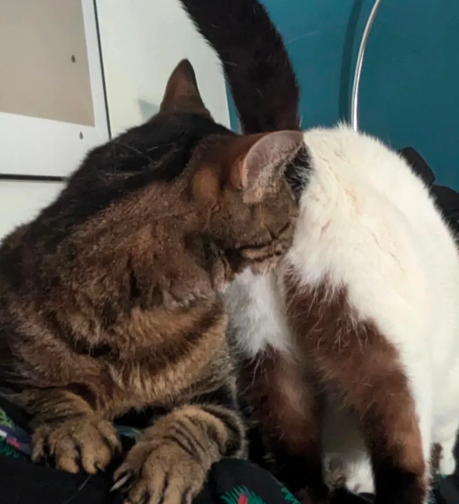 GIF ajouté par Lindsay
