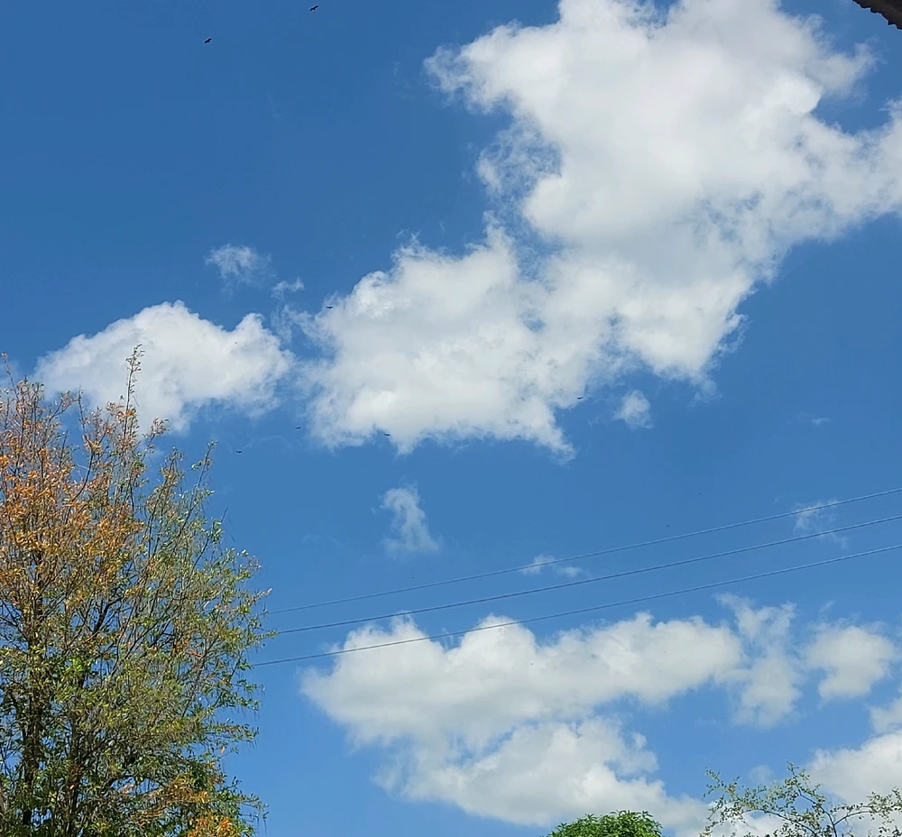 GIF uploaded by Jay