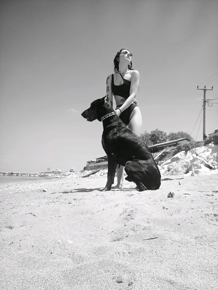 İpek tarafından yüklenen GIF