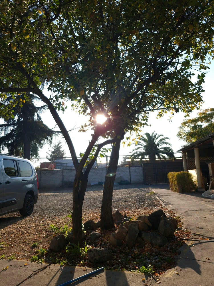GIF subido por Tracy