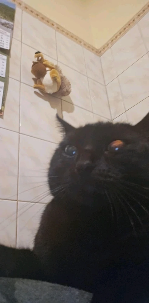 GIF dodany przez Piotr