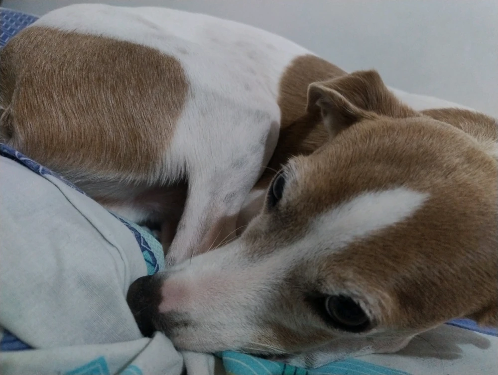 GIF uploaded by Jp