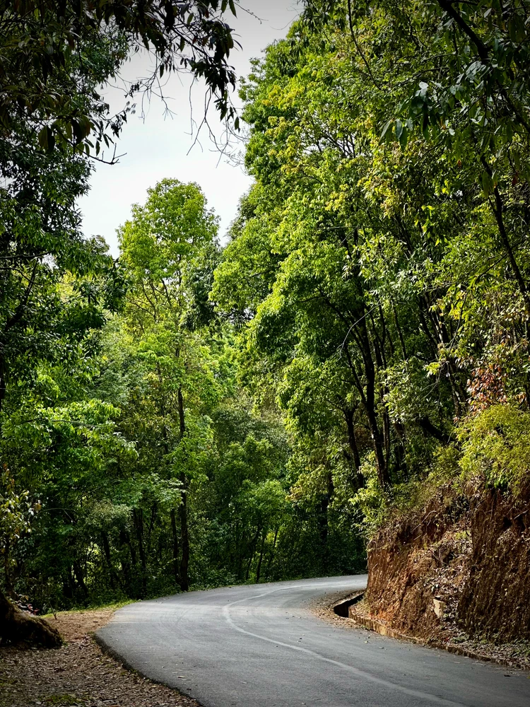 Image uploaded by Prativ