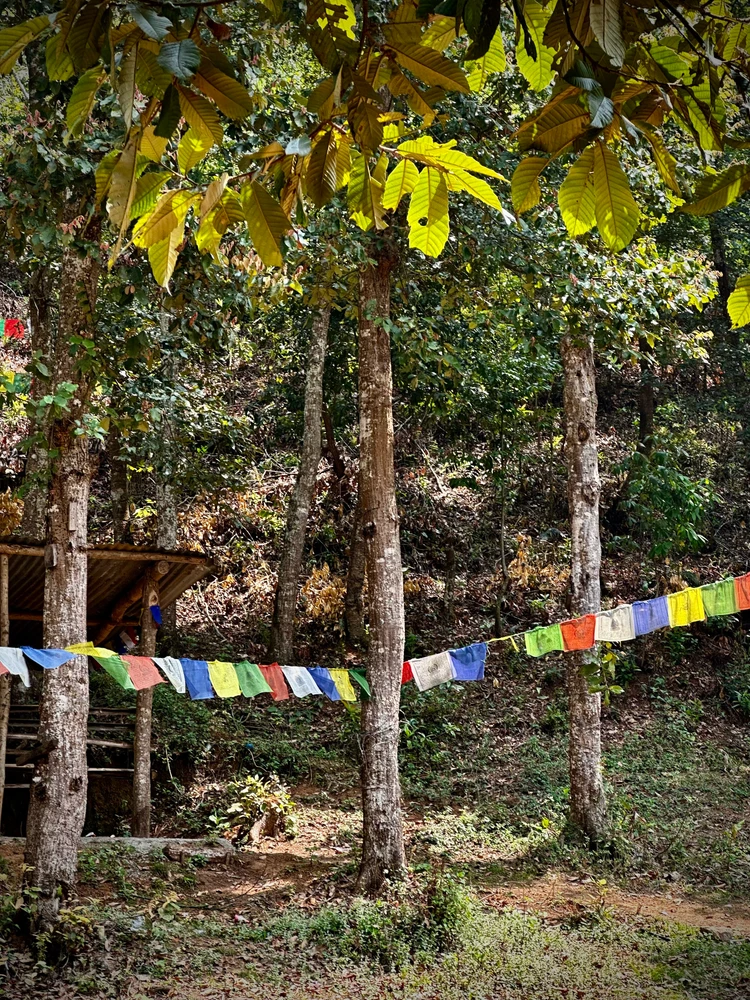 Image uploaded by Prativ