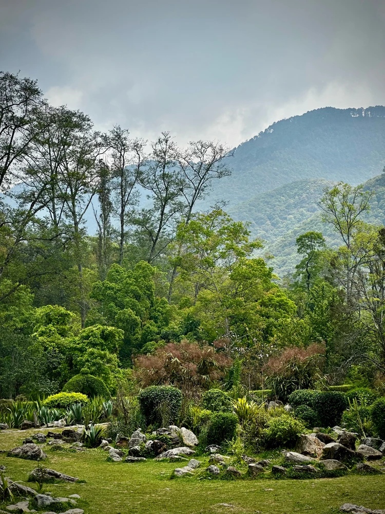 Image uploaded by Prativ