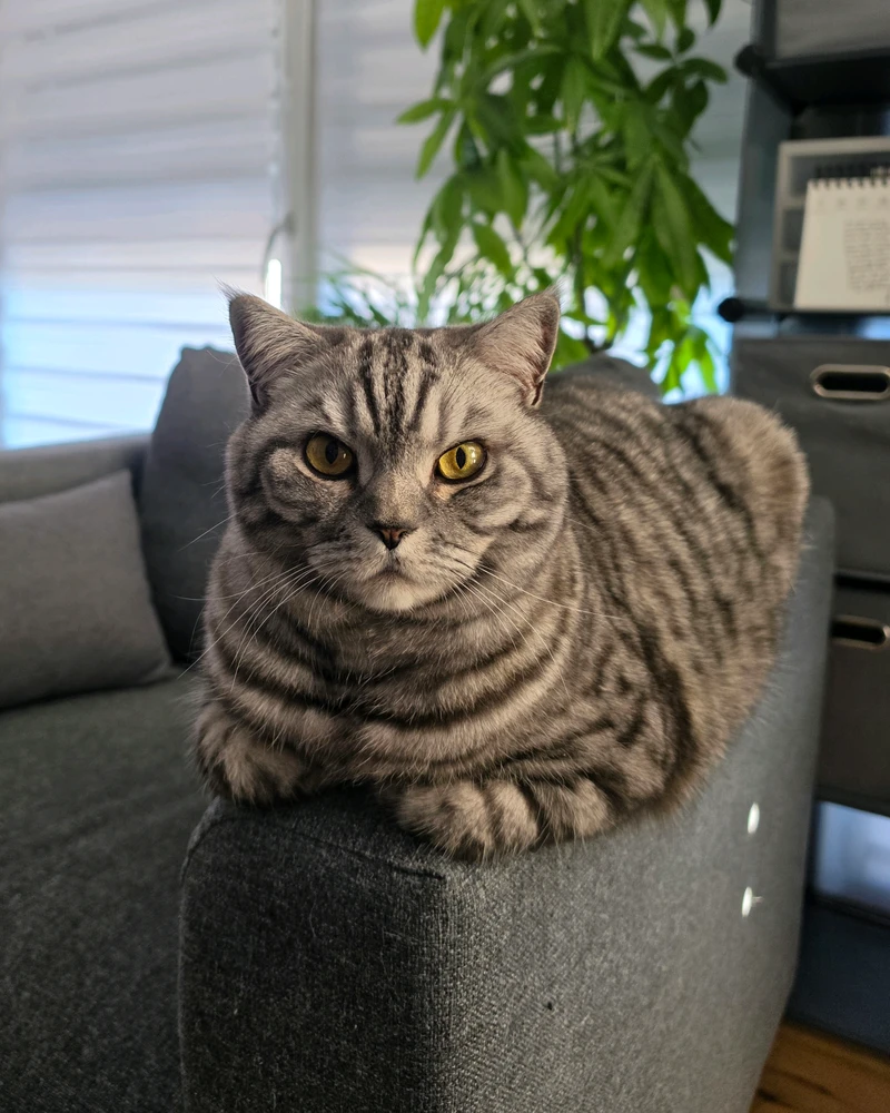 GIF hochgeladen von 𝕁𝕖𝕤𝕤𝕚𝕔𝕒